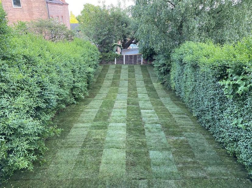 Landscape Maintenance project 1